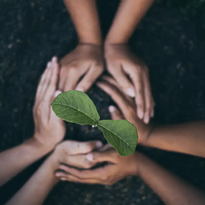 A green leaf floating between multiple outstretched hands.